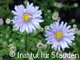 Zur detaillierten Beschreibung!